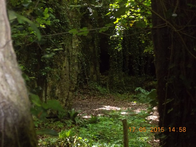 DSCN0076