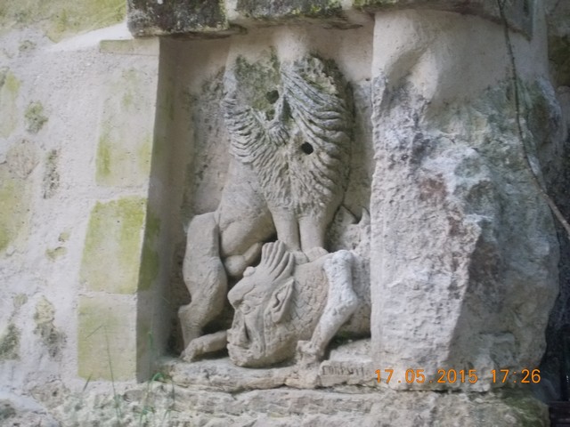 DSCN0085