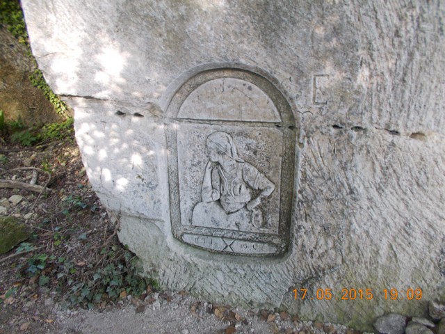 DSCN0090