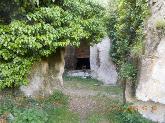 DSCN0103